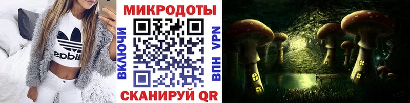 Галлюциногенные грибы Psilocybine cubensis  закладки  Пионерский 