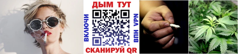 нарко площадка как зайти  Пионерский  Бошки марихуана сатива 